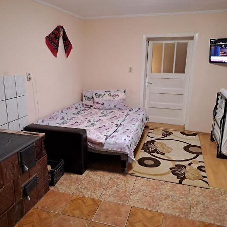 Casa Argentina Villa Cartisoara Ngoại thất bức ảnh