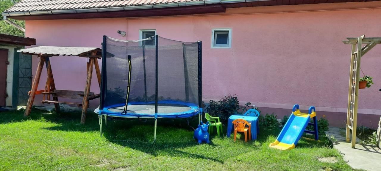 Casa Argentina Villa Cartisoara Ngoại thất bức ảnh