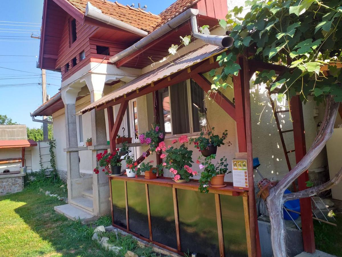 Casa Argentina Villa Cartisoara Ngoại thất bức ảnh