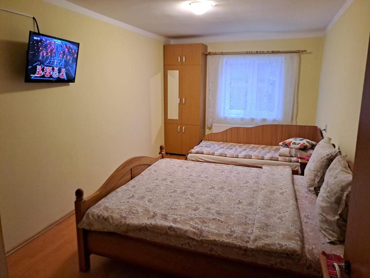Casa Argentina Villa Cartisoara Ngoại thất bức ảnh