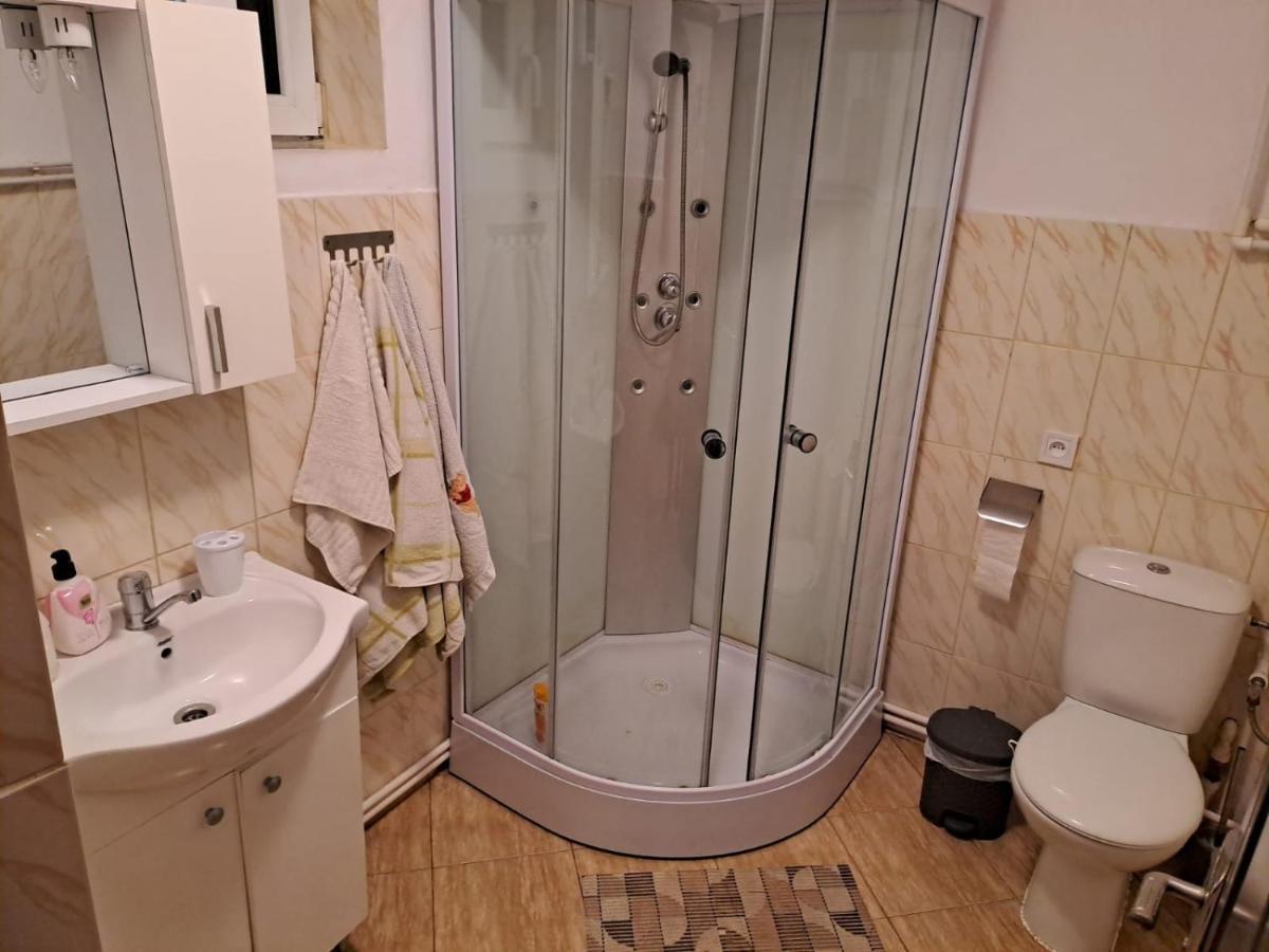 Casa Argentina Villa Cartisoara Ngoại thất bức ảnh
