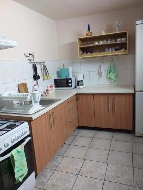 Casa Argentina Villa Cartisoara Ngoại thất bức ảnh